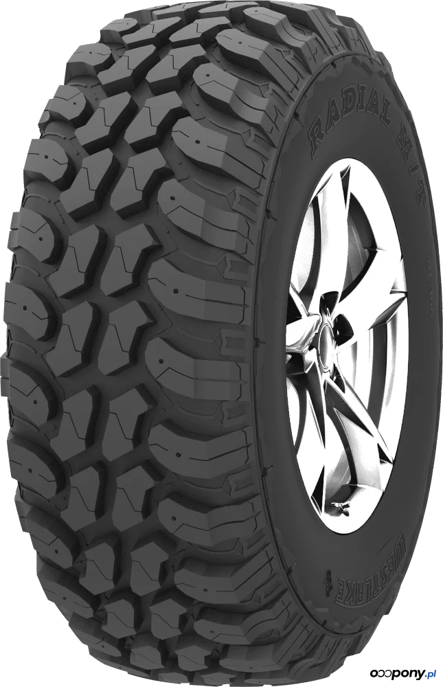 OPONA 225/75R16C WINTUS 3 121/120R Lassa (B,B,B,73dB)